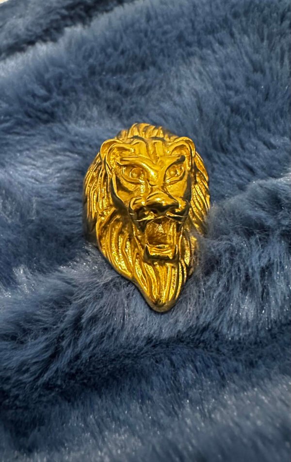 The Leo Ring